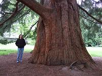 Volunteer Park